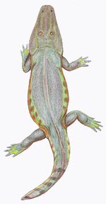 Tryphosuchus1DB