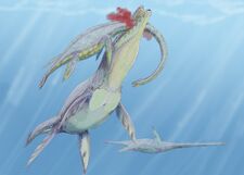Kronosaurus hunt1DB