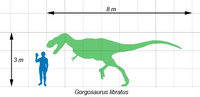 Gorgosaurusscale