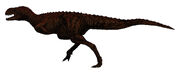 Indosuchus