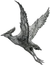 Hongshanornis