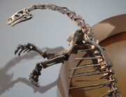 Plateosaurus ottoneum