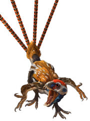 Epidexipteryx 300 400