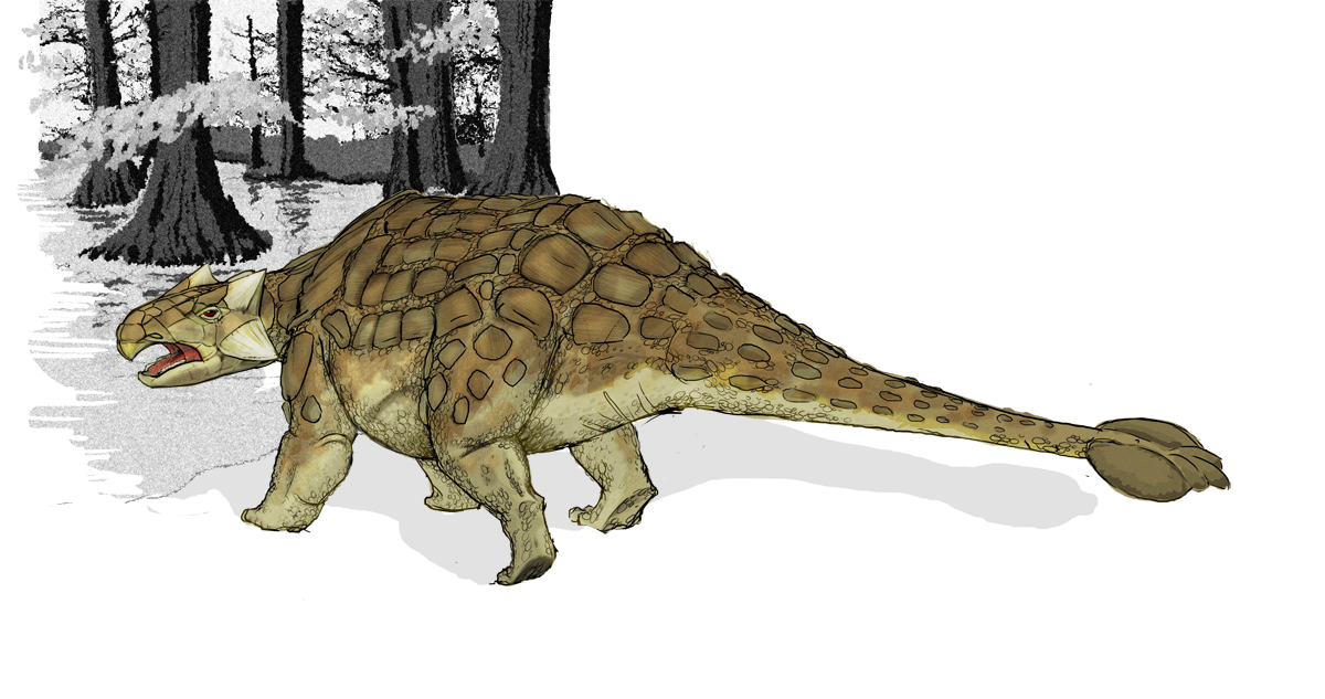 ankylosaurus complete fossil