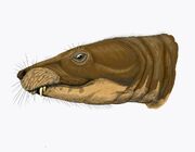 Theriognathus