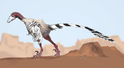 Achillobator small