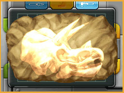 Tricera x ray