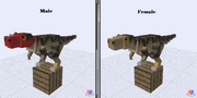 Ceratosaurus
