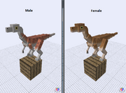 Gallimimus (new)