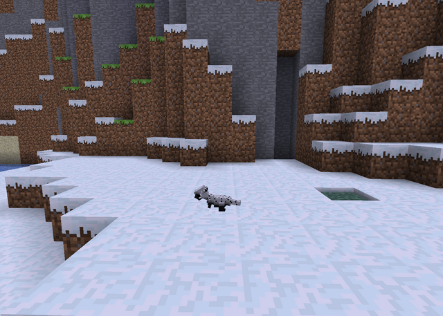 File:Pachy snow.png