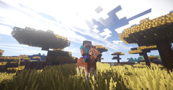 Pony
