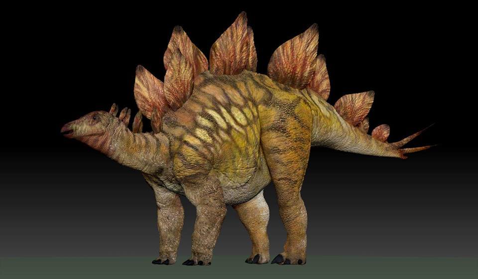fossils and archeology dinosaurs