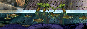 C3trout.png