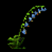 Fleurbleue.png