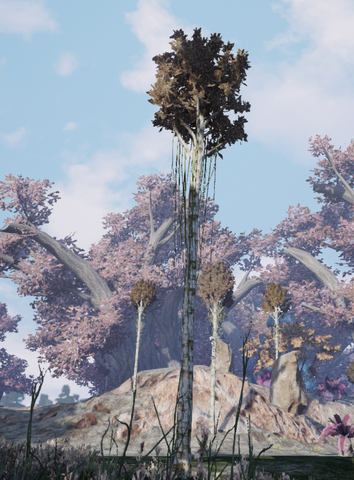 File:Agarwood2.png