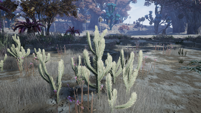 File:Cactus1.png