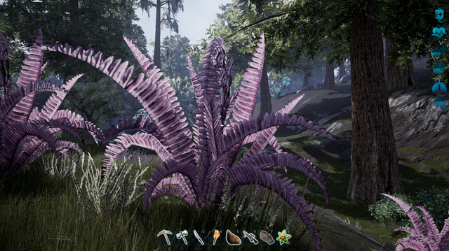 File:Samr Berry3.png