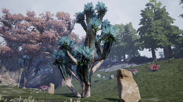 File:Joshua Tree2.png
