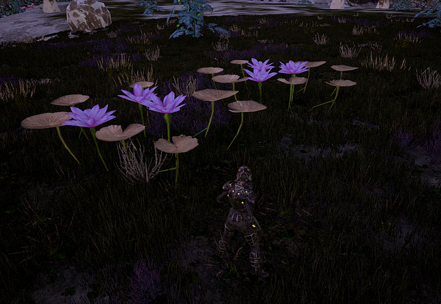 File:Herbal Flower3.png