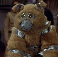 Muffit