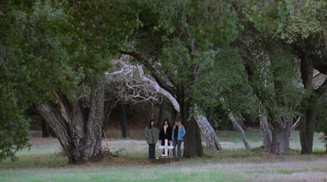File:114.png