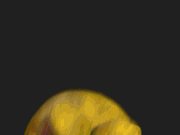ChicaJumpscare.gif