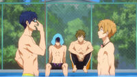 Iwatobi 15