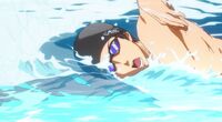 Haru 70