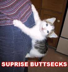 File:Suprise Buttsecks.jpg