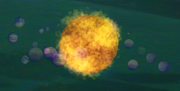 Sun