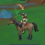 Black-Nosed Stallion