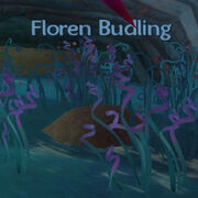 Floren Budling