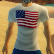 Usa t-shirt