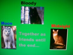 Friends 001