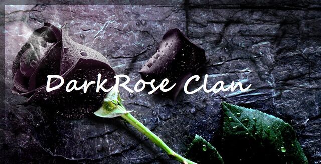 File:Dark rose.jpg