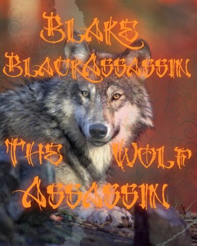 File:BlakeTheWolfAssassin.jpg