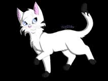 Peace Cat
