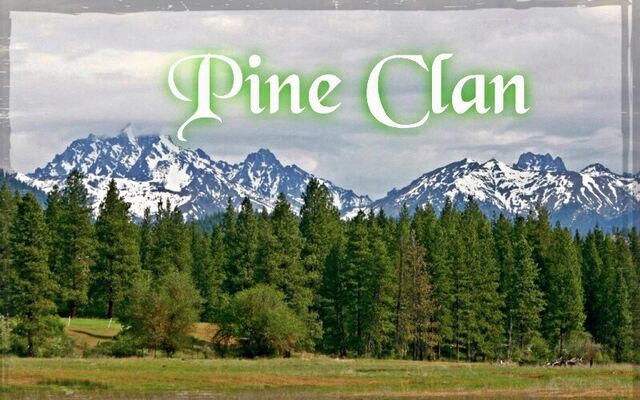 File:DarkPinestarclan.jpg