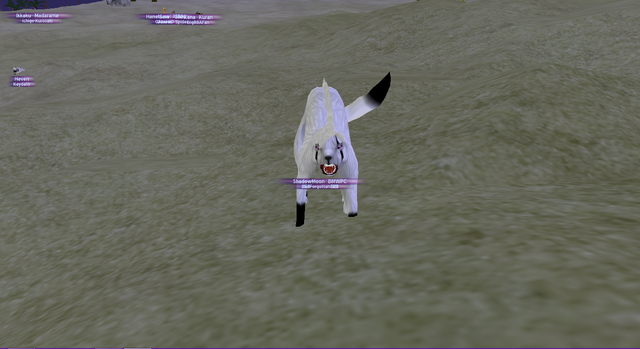 File:Screenshot 08042015 212856998.png