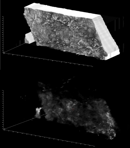 File:AS.png