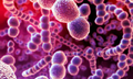 E516f3e188bd-e1439827496566-500x300.png