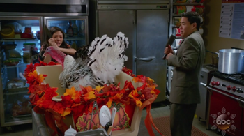 Turkey slaughter