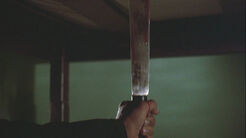 5-16-robin-impaled-in-bed 528 poster