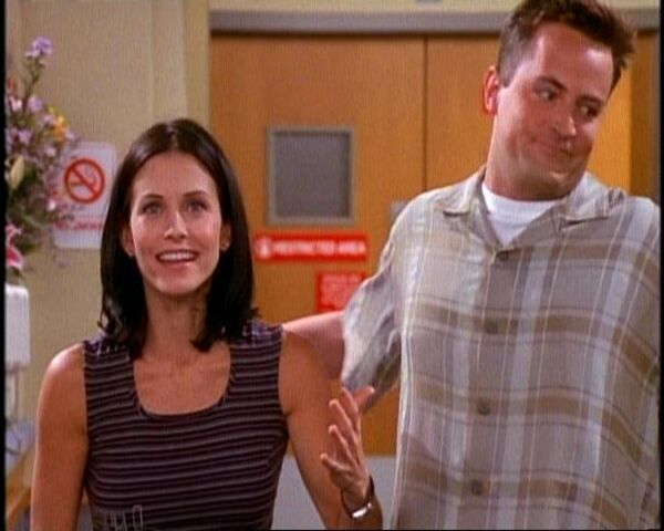 File:5x03 Monica Chandler arrive.jpg