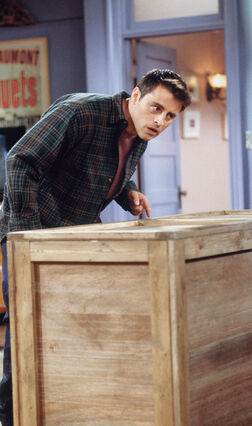 File:Joey.jpg