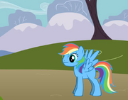 Rainbow Swift