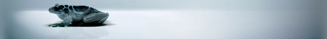 Файл:Bg extras bottom.png