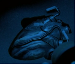Glass heart