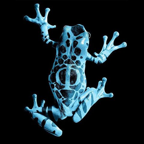 Файл:600px-FrogGlyph.jpg