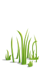 Grass3-icon